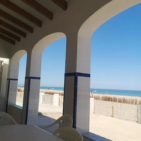 X Denia